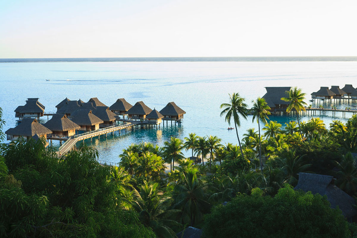 54042-palm-trees-overlooking-tropical-resort-bora.jpg